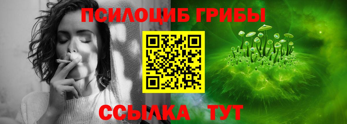 Рославль  сколько стоит  Галлюциногенные грибы ЛСД  Вход с VPN  Псилоцибиновые грибы GOLDEN TEACHER 